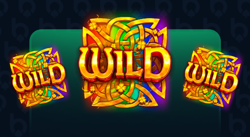 What is a Wild Symbol?